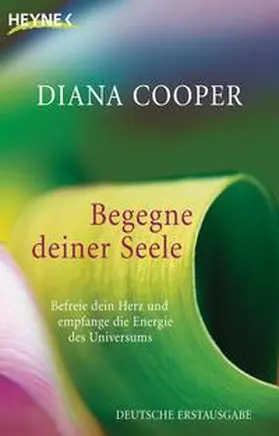 Cooper |  Begegne deiner Seele | Buch |  Sack Fachmedien
