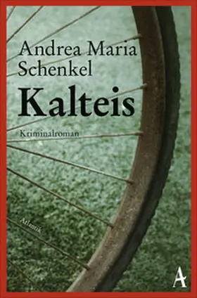 Schenkel |  Kalteis | Buch |  Sack Fachmedien