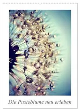 CALVENDO / Delgado |  Die Pusteblume neu erleben (Wandkalender 2025 DIN A2 hoch), CALVENDO Monatskalender | Sonstiges |  Sack Fachmedien