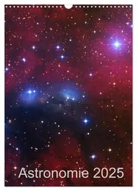 CALVENDO / Kai Wiechen |  Astronomie 2025 (Wandkalender 2025 DIN A3 hoch), CALVENDO Monatskalender | Sonstiges |  Sack Fachmedien