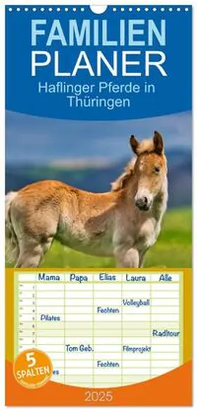 CALVENDO / Irmer |  Familienplaner 2025 - Haflinger Pferde in Thüringen mit 5 Spalten (Wandkalender, 21 x 45 cm) CALVENDO | Sonstiges |  Sack Fachmedien