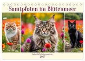 CALVENDO / Kleemann |  Samtpfoten im Blütenmeer (Tischkalender 2025 DIN A5 quer), CALVENDO Monatskalender | Sonstiges |  Sack Fachmedien