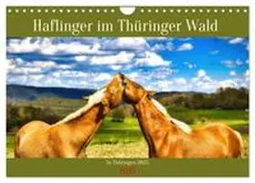 CALVENDO / Irmer |  Haflinger im Thüringer Wald (Wandkalender 2025 DIN A4 quer), CALVENDO Monatskalender | Sonstiges |  Sack Fachmedien