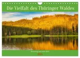 CALVENDO / Irmer |  Die Vielfalt des Thüringer Waldes (Wandkalender 2025 DIN A4 quer), CALVENDO Monatskalender | Sonstiges |  Sack Fachmedien