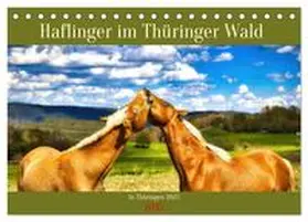 CALVENDO / Irmer |  Haflinger im Thüringer Wald (Tischkalender 2025 DIN A5 quer), CALVENDO Monatskalender | Sonstiges |  Sack Fachmedien