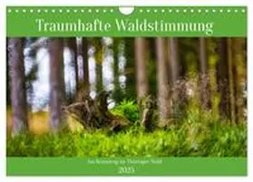CALVENDO / Irmer |  Traumhafte Waldstimmung am Rennsteig im Thüringer Wald (Wandkalender 2025 DIN A4 quer), CALVENDO Monatskalender | Sonstiges |  Sack Fachmedien
