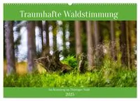 CALVENDO / Irmer |  Traumhafte Waldstimmung am Rennsteig im Thüringer Wald (Wandkalender 2025 DIN A2 quer), CALVENDO Monatskalender | Sonstiges |  Sack Fachmedien