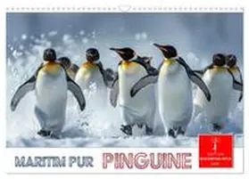 CALVENDO / Roder |  Maritim pur - Pinguine (Wandkalender 2025 DIN A3 quer), CALVENDO Monatskalender | Sonstiges |  Sack Fachmedien