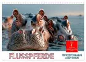 CALVENDO / Roder |  Flusspferde - Hippopotamus amphibius (Wandkalender 2025 DIN A3 quer), CALVENDO Monatskalender | Sonstiges |  Sack Fachmedien