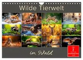 CALVENDO / Roder |  Wilde Tierwelt im Wald (Wandkalender 2025 DIN A4 quer), CALVENDO Monatskalender | Sonstiges |  Sack Fachmedien