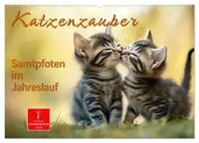 CALVENDO / Roder |  Katzenzauber - Samtpfoten im Jahreslauf (Wandkalender 2025 DIN A2 quer), CALVENDO Monatskalender | Sonstiges |  Sack Fachmedien