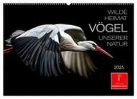 CALVENDO / Roder |  Wilde Heimat - Vögel unserer Natur (Wandkalender 2025 DIN A2 quer), CALVENDO Monatskalender | Sonstiges |  Sack Fachmedien