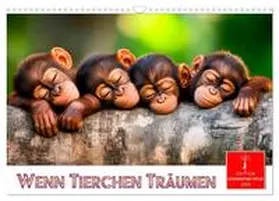 CALVENDO / Roder | Wenn Tierchen träumen (Wandkalender 2025 DIN A3 quer), CALVENDO Monatskalender | Sonstiges | 978-3-457-23362-7 | sack.de