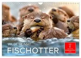 CALVENDO / Roder |  Wilde Heimat - Fischotter (Wandkalender 2025 DIN A4 quer), CALVENDO Monatskalender | Sonstiges |  Sack Fachmedien