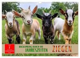 CALVENDO / Roder | Ziegen - Bocksprung durch das Jahr (Wandkalender 2025 DIN A3 quer), CALVENDO Monatskalender | Sonstiges | 978-3-457-24547-7 | sack.de