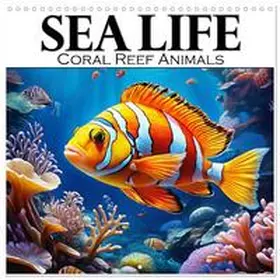CALVENDO / Bilkova |  Sea Life - Coral Reef Animals (Wall Calendar 2026 12 × 12 Inch) CALVENDO 12 Month Wall Calendar | Sonstiges |  Sack Fachmedien