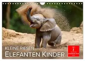 Roder / CALVENDO |  Elefanten Kinder - kleine Riesen (Wandkalender 2026 DIN A4 quer), CALVENDO Monatskalender | Sonstiges |  Sack Fachmedien