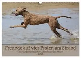 Bittner / CALVENDO |  Freunde auf vier Pfoten am Strand (Wandkalender 2026 DIN A3 quer), CALVENDO Monatskalender | Sonstiges |  Sack Fachmedien