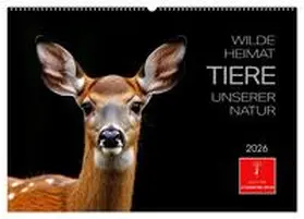 Roder / CALVENDO |  Wilde Heimat - Tiere unserer Natur (Wandkalender 2026 DIN A2 quer), CALVENDO Monatskalender | Sonstiges |  Sack Fachmedien