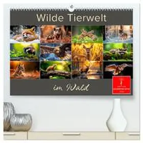 Roder / CALVENDO |  Wilde Tierwelt im Wald (hochwertiger Premium Wandkalender 2026 DIN A2 quer), Kunstdruck in Hochglanz | Sonstiges |  Sack Fachmedien