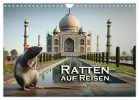 R. Stuhlmann / CALVENDO |  Ratten auf Reisen (Wandkalender 2026 DIN A4 quer), CALVENDO Monatskalender | Sonstiges |  Sack Fachmedien