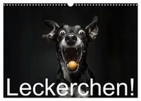 Moers / CALVENDO |  Leckerchen! (Wandkalender 2026 DIN A3 quer), CALVENDO Monatskalender | Sonstiges |  Sack Fachmedien