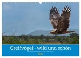 Pohl / CALVENDO |  Greifvögel - wild und schön (Wandkalender 2026 DIN A3 quer), CALVENDO Monatskalender | Sonstiges |  Sack Fachmedien