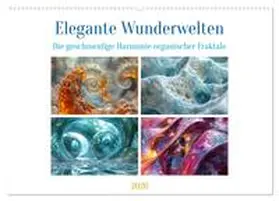 Waurick / CALVENDO |  Elegante Wunderwelten (Wandkalender 2026 DIN A2 quer), CALVENDO Monatskalender | Sonstiges |  Sack Fachmedien