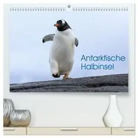 Oberholzer / CALVENDO |  Antarktische Halbinsel (hochwertiger Premium Wandkalender 2026 DIN A2 quer), Kunstdruck in Hochglanz | Sonstiges |  Sack Fachmedien