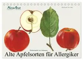 CALVENDO / 1948 |  Alte Apfelsorten für Allergiker (Tischkalender 2026 DIN A5 quer), CALVENDO Monatskalender | Sonstiges |  Sack Fachmedien