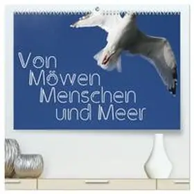 Reichenauer / CALVENDO |  Von Möwen, Menschen und Meer (hochwertiger Premium Wandkalender 2026 DIN A2 quer), Kunstdruck in Hochglanz | Sonstiges |  Sack Fachmedien