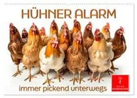 Roder / CALVENDO |  Hühner Alarm (Wandkalender 2026 DIN A2 quer), CALVENDO Monatskalender | Sonstiges |  Sack Fachmedien