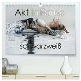 Allgaier - ullision / CALVENDO |  Akt in Farbe - schwarzweiß (hochwertiger Premium Wandkalender 2026 DIN A2 quer), Kunstdruck in Hochglanz | Sonstiges |  Sack Fachmedien