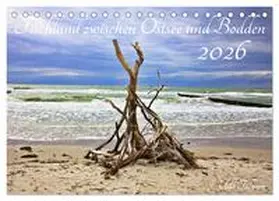 Talmon / CALVENDO |  Fischland zwischen Ostsee und Bodden (Tischkalender 2026 DIN A5 quer), CALVENDO Monatskalender | Sonstiges |  Sack Fachmedien