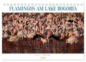 Quentin / CALVENDO |  Flamingos am Lake Bogoria - Kenia (Tischkalender 2026 DIN A5 quer), CALVENDO Monatskalender | Sonstiges |  Sack Fachmedien