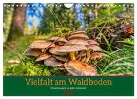 Irmer / CALVENDO |  Vielfalt am Waldboden (Wandkalender 2026 DIN A4 quer), CALVENDO Monatskalender | Sonstiges |  Sack Fachmedien