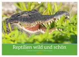 Pohl / CALVENDO |  Reptilien wild und schön (Wandkalender 2026 DIN A3 quer), CALVENDO Monatskalender | Sonstiges |  Sack Fachmedien