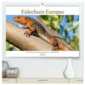 Simlinger / CALVENDO |  Eidechsen Europas (hochwertiger Premium Wandkalender 2026 DIN A2 quer), Kunstdruck in Hochglanz | Sonstiges |  Sack Fachmedien
