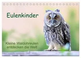 Müller / CALVENDO |  Eulenkinder - Kleine Waldohreulen entdecken die Welt (Tischkalender 2026 DIN A5 quer), CALVENDO Monatskalender | Sonstiges |  Sack Fachmedien