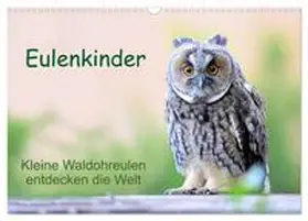Müller / CALVENDO |  Eulenkinder - Kleine Waldohreulen entdecken die Welt (Wandkalender 2026 DIN A3 quer), CALVENDO Monatskalender | Sonstiges |  Sack Fachmedien
