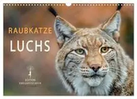Roder / CALVENDO |  Raubkatze Luchs (Wandkalender 2026 DIN A3 quer), CALVENDO Monatskalender | Sonstiges |  Sack Fachmedien