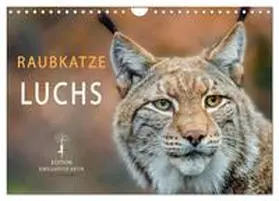 Roder / CALVENDO |  Raubkatze Luchs (Wandkalender 2026 DIN A4 quer), CALVENDO Monatskalender | Sonstiges |  Sack Fachmedien