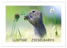 Lang / CALVENDO |  Lustige Zieselbabys (Wandkalender 2026 DIN A2 quer), CALVENDO Monatskalender | Sonstiges |  Sack Fachmedien