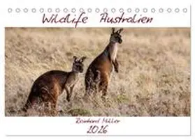 Müller / CALVENDO |  Wildlife Australien (Tischkalender 2026 DIN A5 quer), CALVENDO Monatskalender | Sonstiges |  Sack Fachmedien