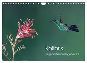 Oberholzer / CALVENDO |  Kolibris - Flugkünstler im Regenwald (Wandkalender 2026 DIN A4 quer), CALVENDO Monatskalender | Sonstiges |  Sack Fachmedien