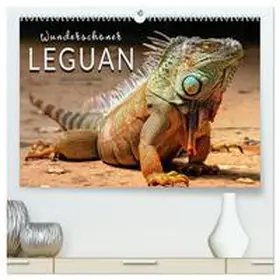 Roder / CALVENDO |  Wunderschöner Leguan (hochwertiger Premium Wandkalender 2026 DIN A2 quer), Kunstdruck in Hochglanz | Sonstiges |  Sack Fachmedien