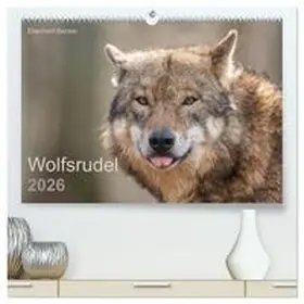 Becker / CALVENDO |  Wolfsrudel (hochwertiger Premium Wandkalender 2026 DIN A2 quer), Kunstdruck in Hochglanz | Sonstiges |  Sack Fachmedien