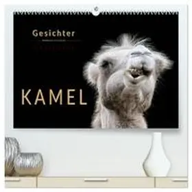 Roder / CALVENDO |  Kamel Gesichter (hochwertiger Premium Wandkalender 2026 DIN A2 quer), Kunstdruck in Hochglanz | Sonstiges |  Sack Fachmedien