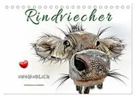 Roder / CALVENDO |  Rindviecher unglaublich (Tischkalender 2026 DIN A5 quer), CALVENDO Monatskalender | Sonstiges |  Sack Fachmedien