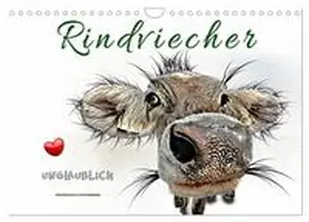 Roder / CALVENDO |  Rindviecher unglaublich (Wandkalender 2026 DIN A4 quer), CALVENDO Monatskalender | Sonstiges |  Sack Fachmedien